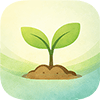 SeedSomething